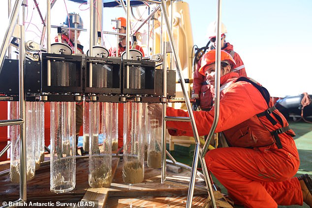 Researchers from the British Antarctic Survey (BAS) used underwater robots to take new measurements of the glacier, which is the size of Great Britain