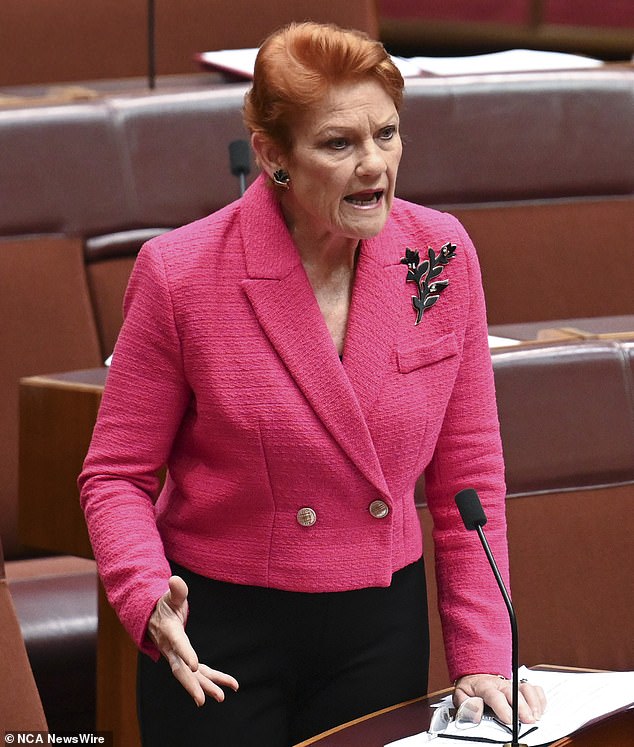 One Nation leader Pauline Hanson described Kerin's claim that Welcome to Country was 'not for white people' as 'divisive' in the Senate on Tuesday