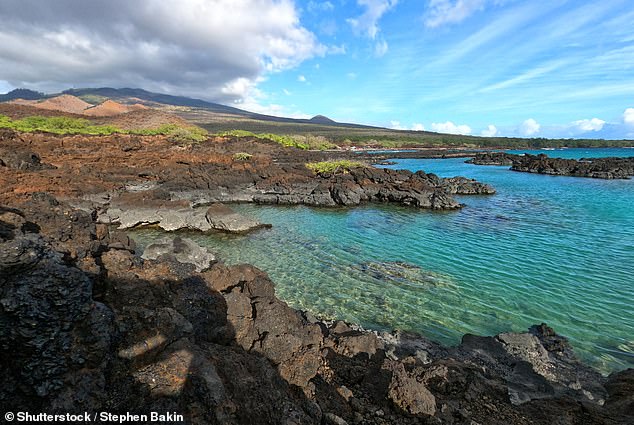 The group snorkeled in the unguarded waters at the Ahihi-Kinua Nature Reserve (pictured) in west Maui