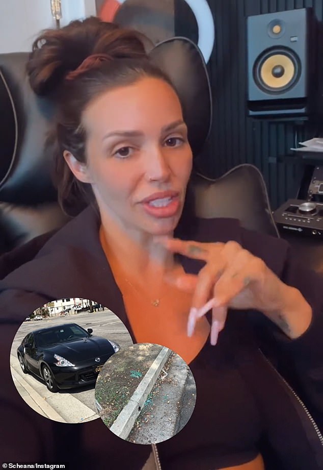 After finding her car missing, Scheana reported the incident to a Los Angeles police station, police confirmed to TMZ.