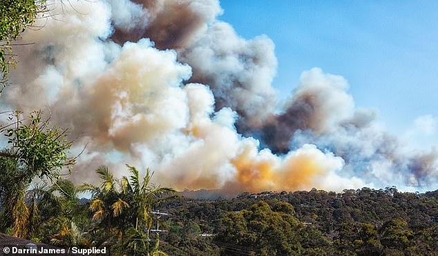 Fire and Rescue NSW continues to support the RFS and has deployed nine trucks and crews which are now focused on property protection