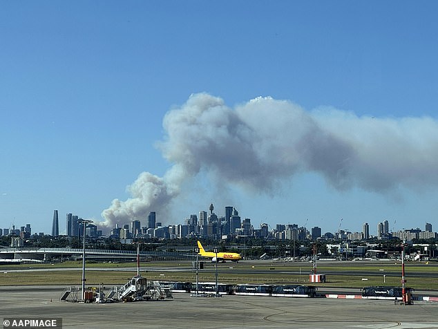 Smoke from the bushfire can be seen over the city from Sydney airport on Saturday