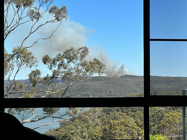 Large plumes of smoke could be seen rising from the dense undergrowth (photo)