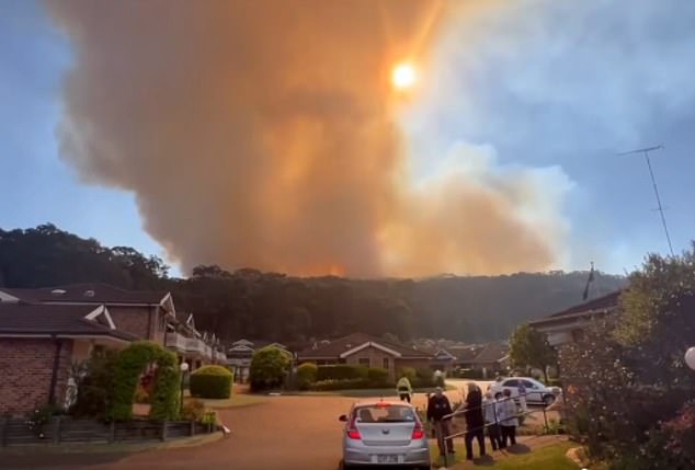 A fire has been reclassified as 'out of control' to reduce hazards and is raging east towards Cromer Heights (fire pictured)