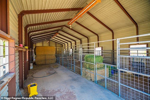 The land can also be used for grazing cattle