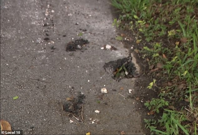 Local10 captured footage from the crime scene showing parts of the missing sidewalk where the lightning struck