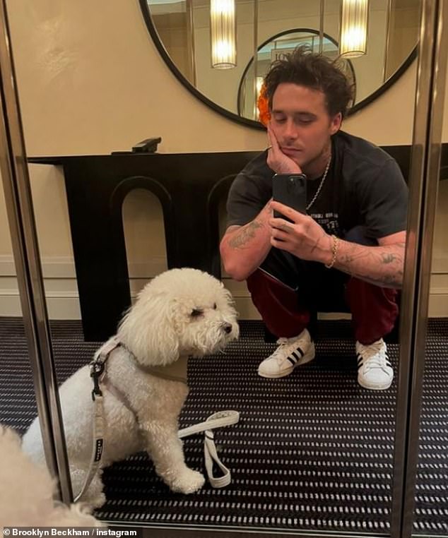 Brooklyn regularly shares snaps of himself with his pet Lamb