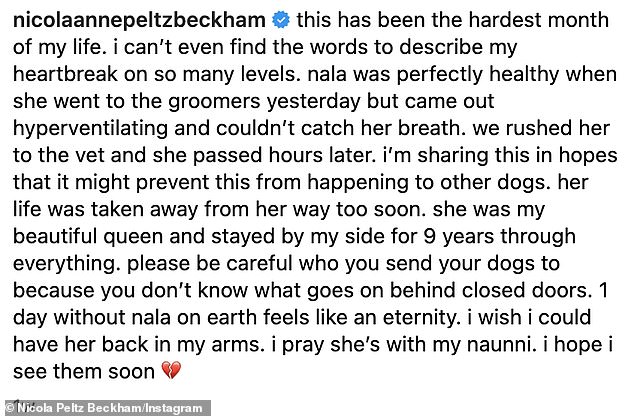 However, when Nicola picked Nala up and noticed the dog was 'hyperventilating and unable to breathe', she immediately took her to an emergency vet, but the dog tragically passed away a few hours later