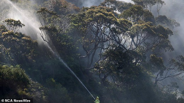 Firefighters continue to battle patchy fires on Sydney's northern beaches