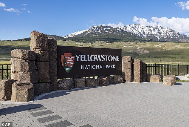 Yellowstone National Park, located in Wyoming, Idaho and Montana, is home to 500 geysers