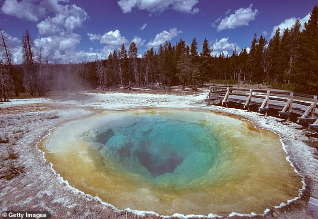 The Morning Glory was captured in 1993, just two years after a team attempted to clean it