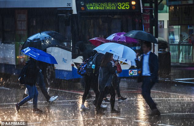 Sydney residents could experience showers on Wednesday night and Thursday (stock photo)