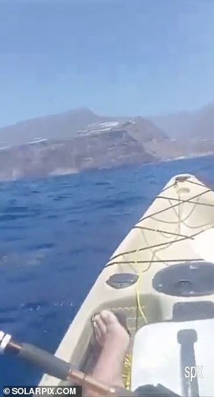 The shark's distinctive fin was getting closer and he began to worry that the shark would overturn his kayak