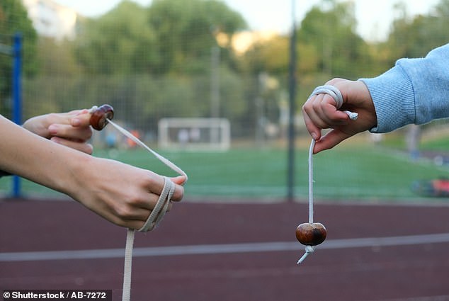 One player dangles his conker at arm's length and holds it as still as possible (right). The striker holds the line of his own conker and swings at his opponent's conker to try and hit it (left).