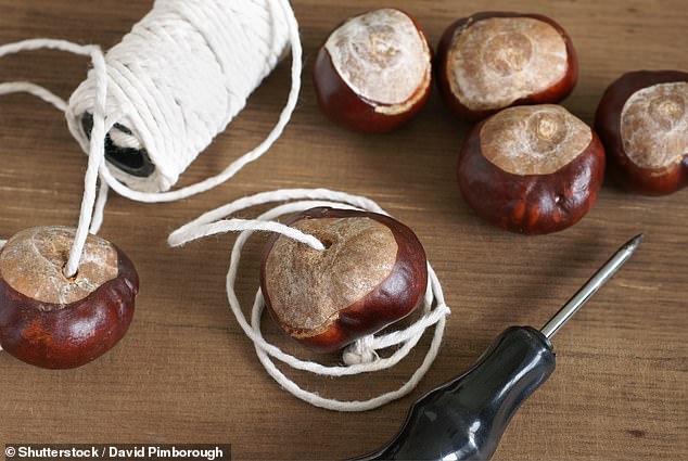 To safely make a hole through your chestnut, experts advise using a narrow screwdriver or a hammer and nail