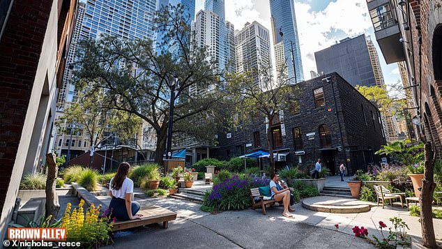 Melbourne City Council is due to hold an election in October, with Mr Reece pledging to transform Victoria's capital into a 'Garden City' by opening 28 new parks