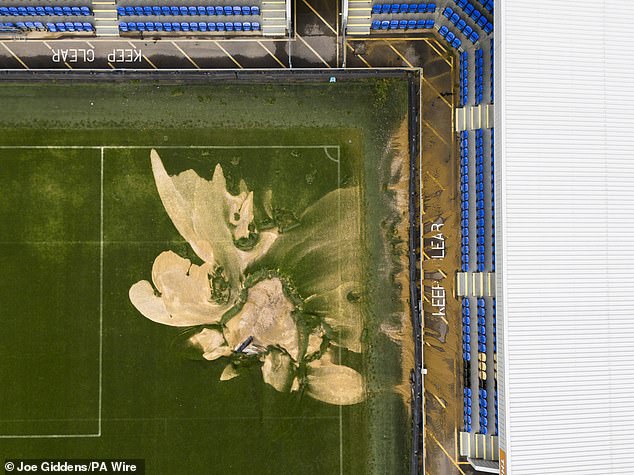 The large sinkholes have made one corner of the Plough Lane field look like a golf course