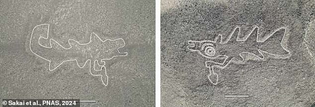 The true purpose of the mysterious Nazca Lines has long puzzled archaeologists. Pictured: Orcas with knives