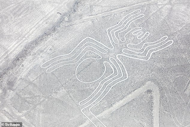 A spider geoglyph at Nazca. The figure is said to be 150 feet long and consists of one continuous line