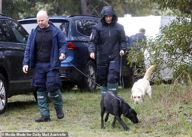 Police with sniffer dogs gathered at Grenville Recreation Reserve, expected to enter the bush on Wednesday