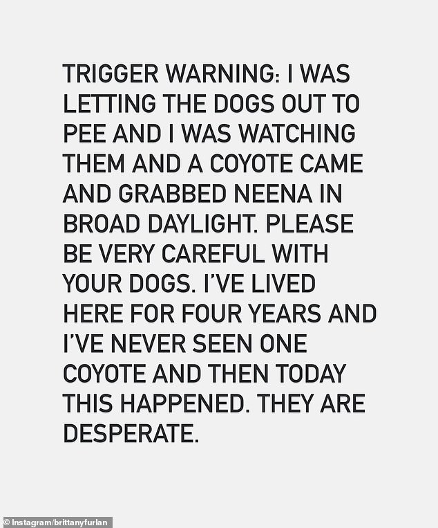 Furlan said the incident was the first time they had an encounter with a coyote in the home in four years.