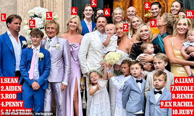 The outing comes just months after Hunter reunited with her ex-husband Rod Stewart at their son Liam's lavish wedding in Croatia (pictured with Rod, his sons Sean, Aiden, his current wife Penny and Alastair, Liam, daughter-in-law Nicole, grandson Louie, daughter Renee and daughter Ruby)