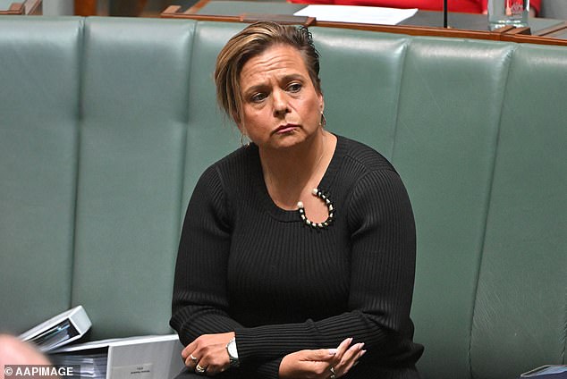 Communications Minister Michelle Rowland insists the new laws will not restrict freedom of expression