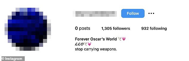 Oscar's girlfriend left a message urging teens to 'stop carrying guns' after her boyfriend's death in her Instagram bio (pictured)