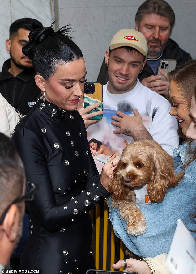 A superfan brought his dog along for the meet and greet and the adorable pooch was decked out in an outfit that read 