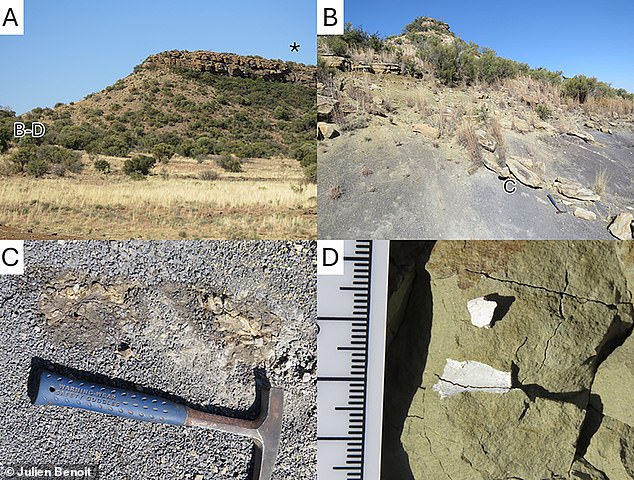 The fossils were found beneath the star in photo A, and fossils were found at the locations shown in photos B, C, and D.