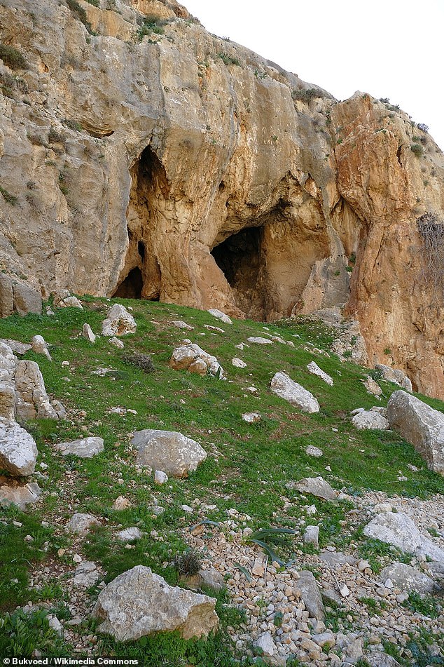 Above, more of the 357+ caves in Wadi Makukk in the northern Judean Desert - near 'Cave 1' where the ancient seed was found