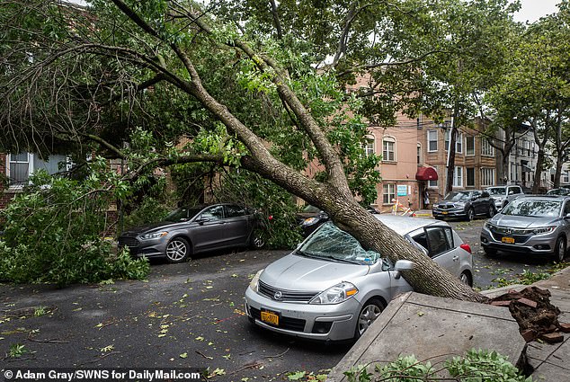 Meteorologists warned that the hurricane is likely to knock down trees and power lines, causing widespread power outages along the west coast of Florida and Georgia.