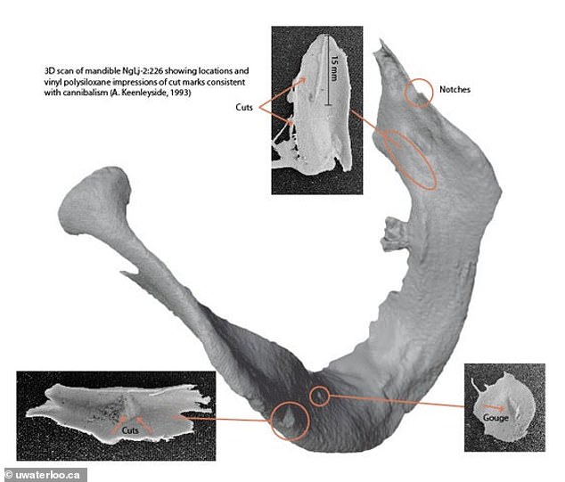 Researchers found that the jawbones had cuts and gouges indicating cannibalism. Similar cuts were found on many of the bones of the Franklin survivors