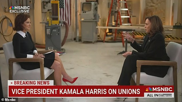 Kamala Harris Talks the Economy to MSNBC