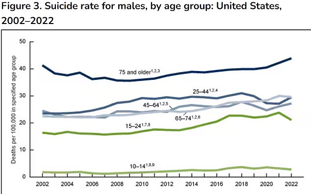 The above shows suicide rates by age group among American men