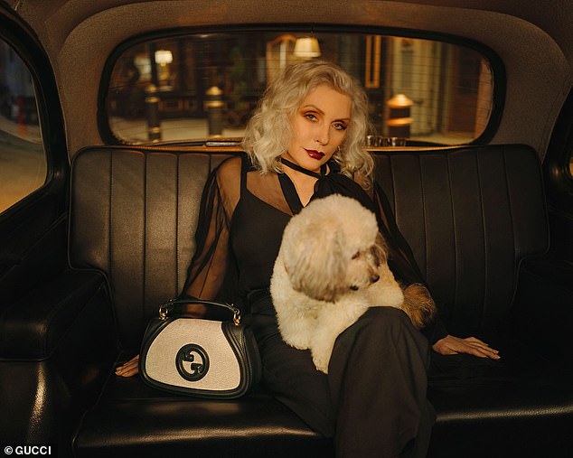 The Blondie frontwoman easily defied her 79 years in a sheer black ensemble as she modeled the $4,200 Gucci Blondie 'Medium Top Handle Bag' while a white dog sat on her lap