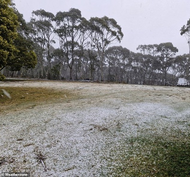 The NSW Central Tablelands saw a spring snowfall on Thursday thanks to the frigid weather