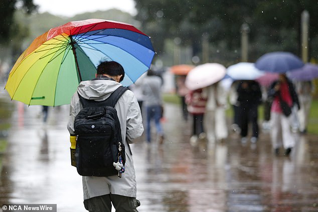 Rain should ease in most areas by Sunday, according to the Bureau of Meteorology