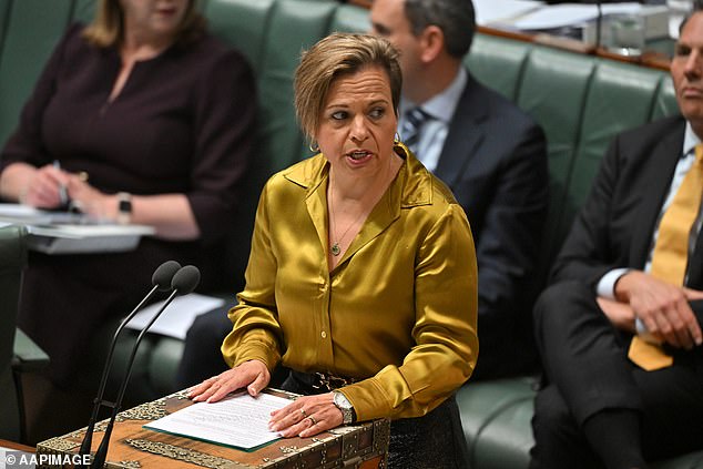 Communications Minister Michelle Rowland would be given far-reaching powers under the proposed laws