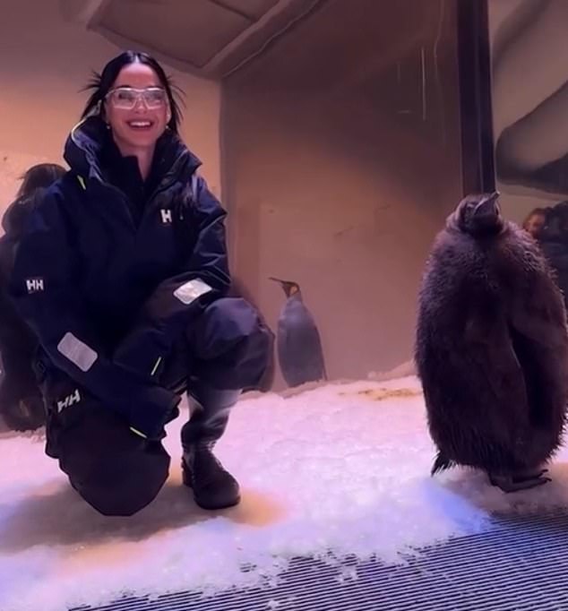 The American pop star, 39, who is headlining the pre-match show at the MCG before the Brisbane Lions take on the Sydney Swans, teased her fans in an Instagram clip. The brunette beauty visits the penguins at Sea Life Melbourne Aquarium