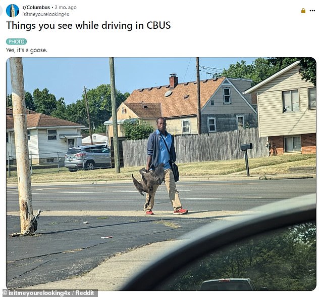 Pictured is an image of a man holding a dead goose in Columbus, Ohio - one of the media outlets that apparently started the rumors