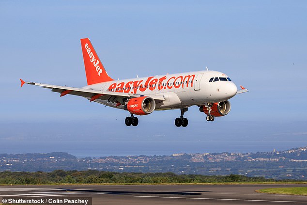 An easyJet plane arrives at Bristol Airport (file image), where police were awaiting the flight