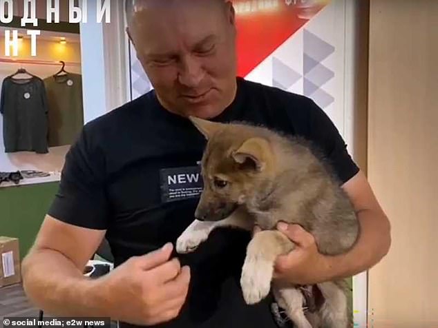 The All-Russian Popular Front (ONF) shared the news in May that two wolf pups had been requested