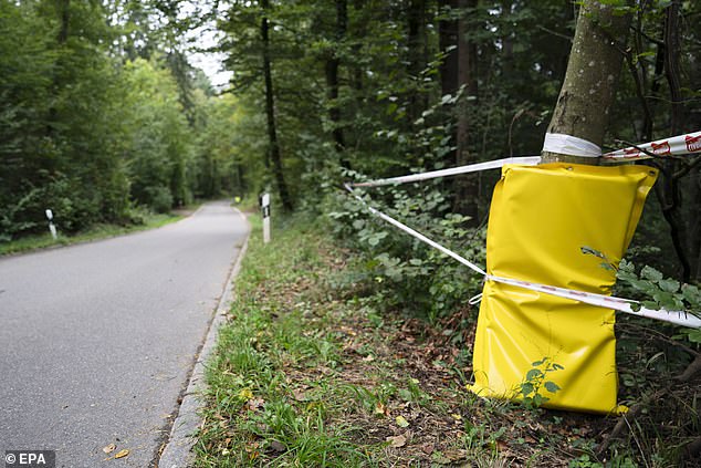 Heavy rain had fallen on the course on Thursday (photo: the suspected location of the accident)