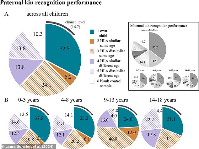 Fathers could identify their child by smell about 33 percent of the time (blue segments represent correct guesses) at all ages except early puberty