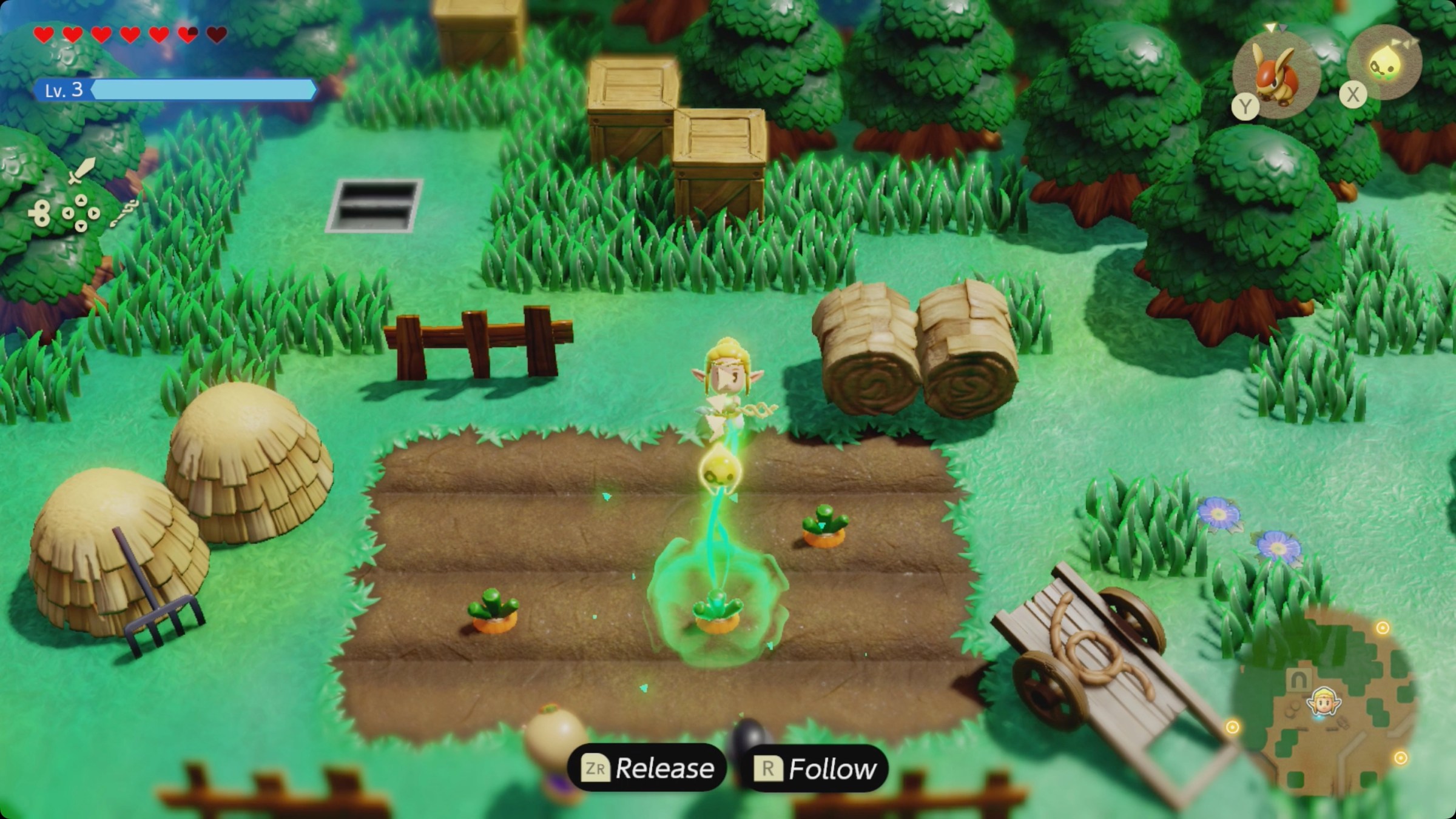 Zelda: Echoes of Wisdom uses a root to bind