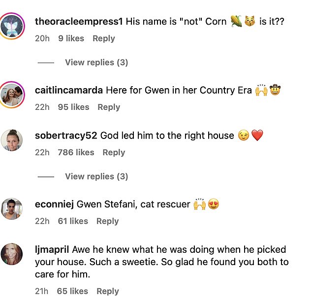 “Here's to Gwen in her Country Era,” someone else wrote, while another fan pointed out the obvious, “imagine being @gwenstefani and @blakeshelton's cat? Are you kidding?'