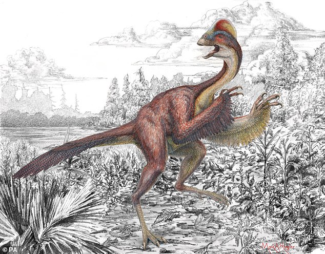 The 3-meter-tall 'Anzu wyliei' creature (pictured above) was discovered in 2014 and was named because of a chicken-like crest on its head, feathered wings, long claws and dangerous beak