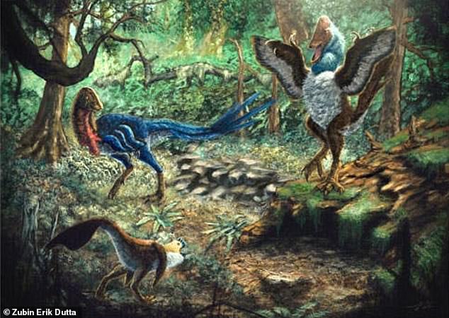 In 2014, University of Utah paleontologists discovered three partial skeletons of 'Anzu wyliei' in ancient rocks in North and South Dakota. It was fossils purchased from digs in the same general area – the Hell Creek Formation – that led to the new species of 'hell chicken'