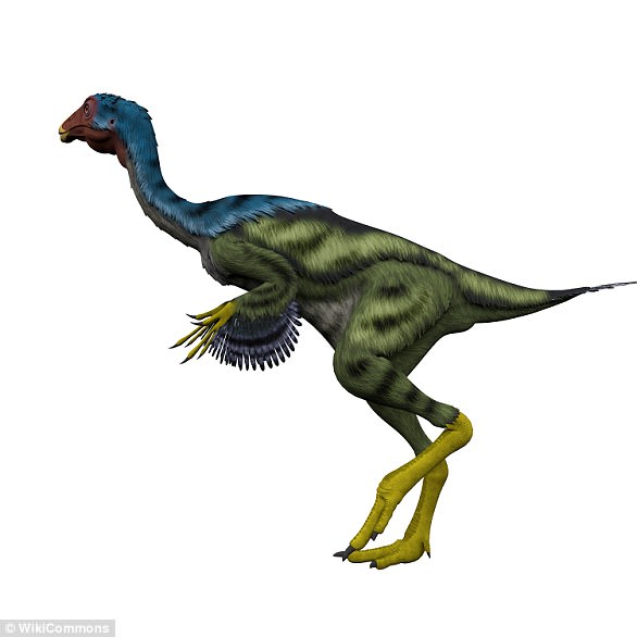 Pictured is a 3D illustration of Caudipteryx, a genus of peacock-sized oviraptorosaur dinosaurs. The first specimen of Caudipteryx was discovered in China in 1997 